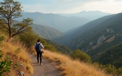 From Inbox Overload to Mountain Clarity in Mexico